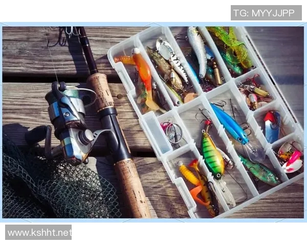 渔具选择与使用技巧全面解析，助你成为钓鱼高手的必备指南