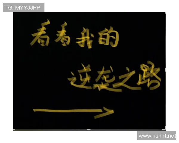 深圳排球队逆袭之路揭示团队精神与奋斗不息的传奇故事