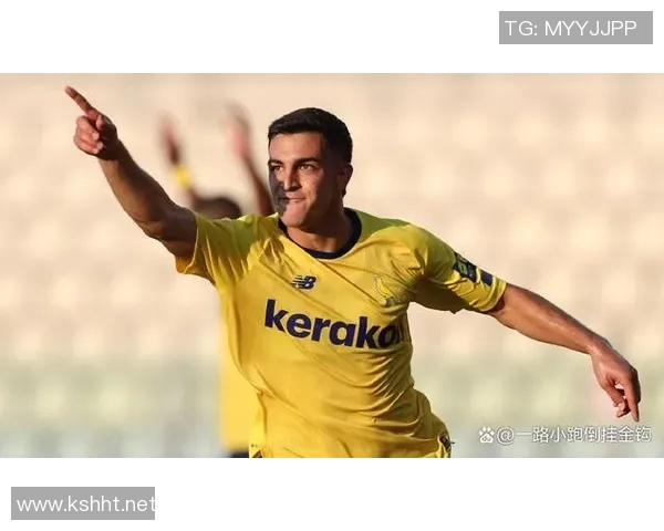 意甲各队现任队长名单与职业履历分析