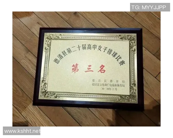 南京排球队荣登全国排球比赛经验排行榜第三名的背后故事