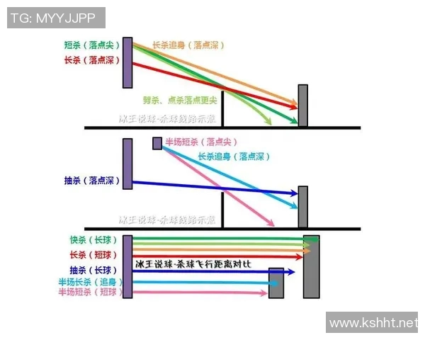 杭州羽毛球队战术表现数据分析与优化策略探讨